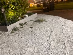 -大白之家天台轰趴•烧烤•团建•生日(南山店)