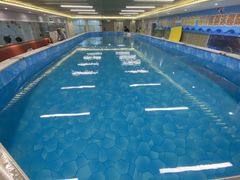 -水贝乐国际水育儿童游泳中心(新业广场店)