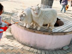 -北戴河集发农业梦想王国