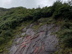 -白云源风景区