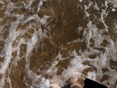 -日照海滨国家森林公园