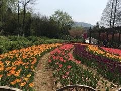 -白马涧龙池景区