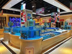 -保定会馆(秀兰店)