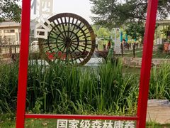 -林栖谷森林康养度假区
