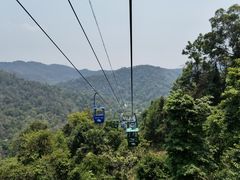 -野象谷景区