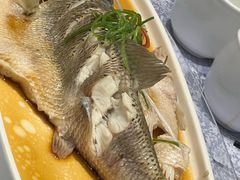 -沈厅酒家(周庄店)