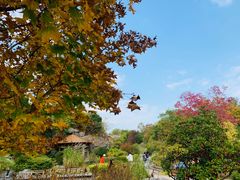 -上海吴淞炮台湾国家湿地公园