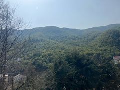 -WILDS 野有食(碧坞店)