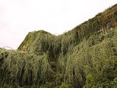 -府河摄影公园