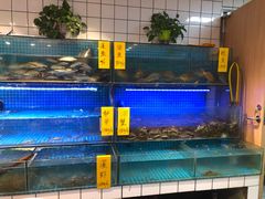 水产区-吴记百家·私房菜·家宴(润园店)