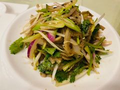 葱拌牛肚丝-东四民芳餐厅(世茂工三店)