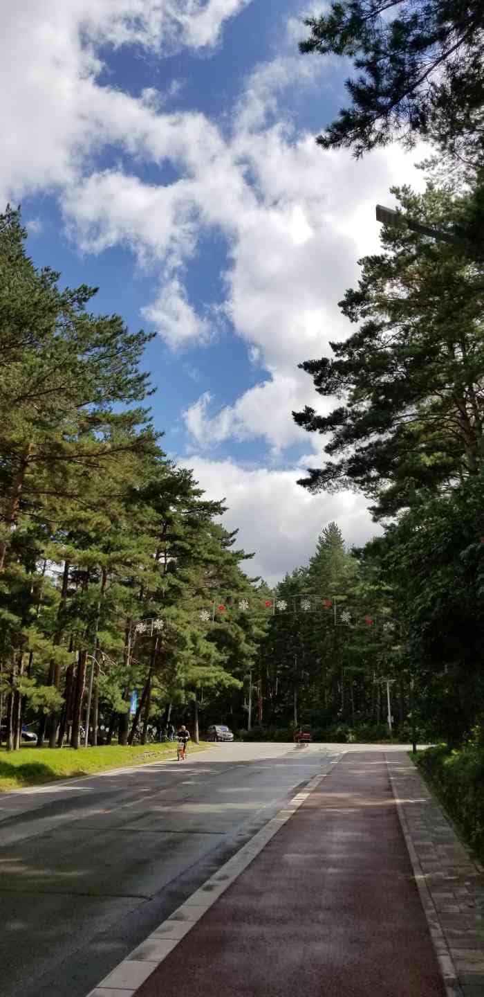 美人松苑-"很喜欢,虽然是免费的公园但是很干净,美人.