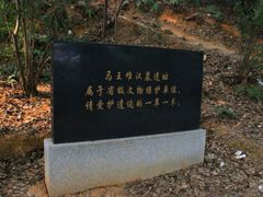 -马王堆汉墓遗址