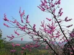 -天台山赤城山景区