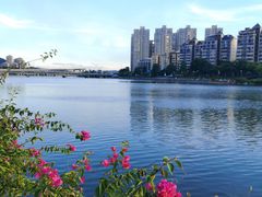 -光明港公园