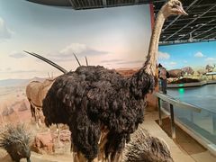 -陕西自然博物馆