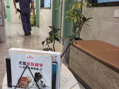 -半岛宠物医院24小时·内窥镜·牙科·碎石中心(府城大道店)