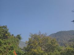 -莫里热带雨林景区