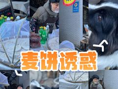 -林坑古村落