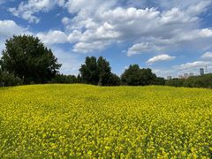 -长白岛森林公园