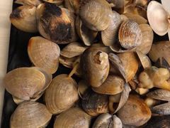 烤黄蛤-兆辉木炭海鲜烧烤·海鲜小炒