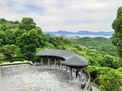 -黄贤森林公园