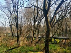 -西湖风景区-江洋畈生态公园