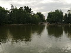 -团结湖公园