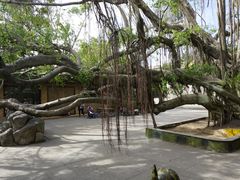 -大嶝英雄三岛战地观光园