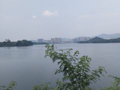 -立新湖公园