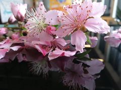 -美味之家·湖景农家乐(太湖东山店)