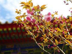 -终南山古楼观历史文化景区
