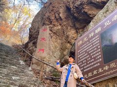-天女山森林公园