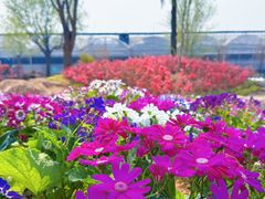 -沂蒙云瀑洞天景区