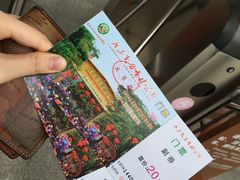 -广东茂名森林公园