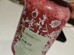 -野萃山·潮汕厚果汁(十亩地店)