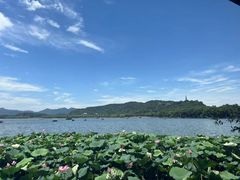 -湖畔居茶楼(湖滨店)