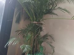 -成都诺亚8号酒店