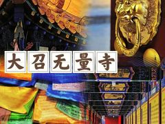 -大召无量寺