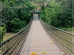 -南宁良凤江国家森林公园