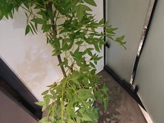 -成都ins星空塔酒店(春熙路天府广场店)