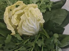 -草原传奇鲜羊火锅(桥北店)