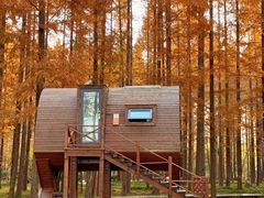 -黄海国家森林公园