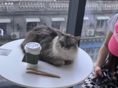 -怪兽屋·羊驼·猫咖·狗咖(俊华广场店)