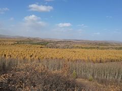 -塞罕坝国家级自然保护区