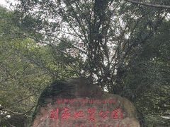 -海口火山口国家地质公园
