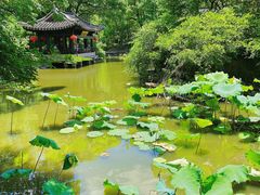 -绍兴鲁迅故里·沈园景区