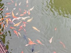 -南湾湖
