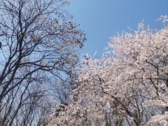 -将府公园