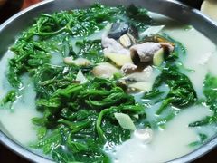 上汤桑叶-大田塱鸽庄